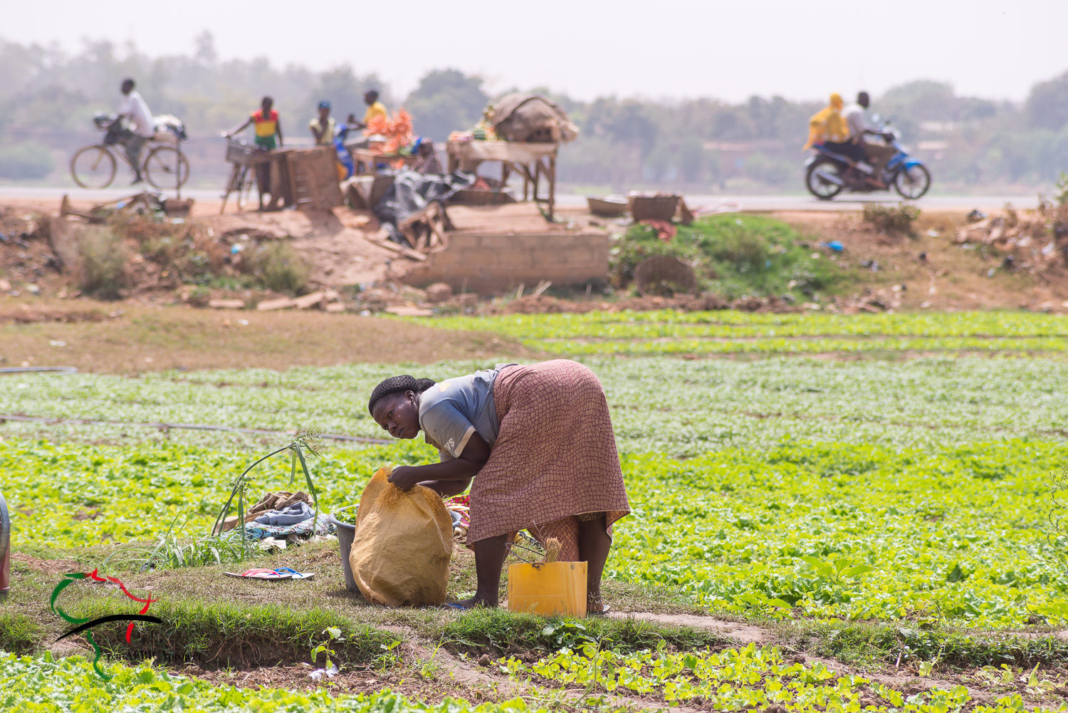 Woman gardening in front of a roadside vendor