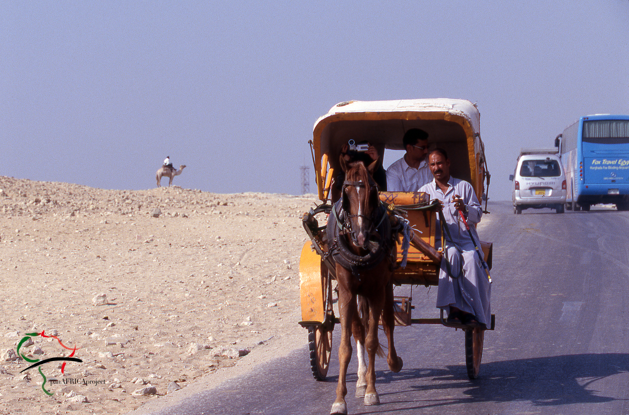 Horse drawn carriage driving in Cairo, Egypt