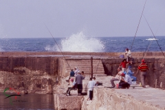 People fishing on the Mediterranean Sea in Alexandria, Egypt
