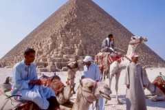 Men with camels in front of the Great Pyramids of Giza, Egypt