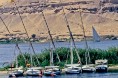 Feluccas on the Nile River in Aswan, Egypt