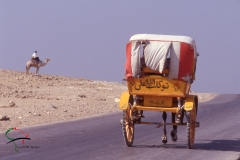 Horse drawn carriage on the road in Cairo, Egypt