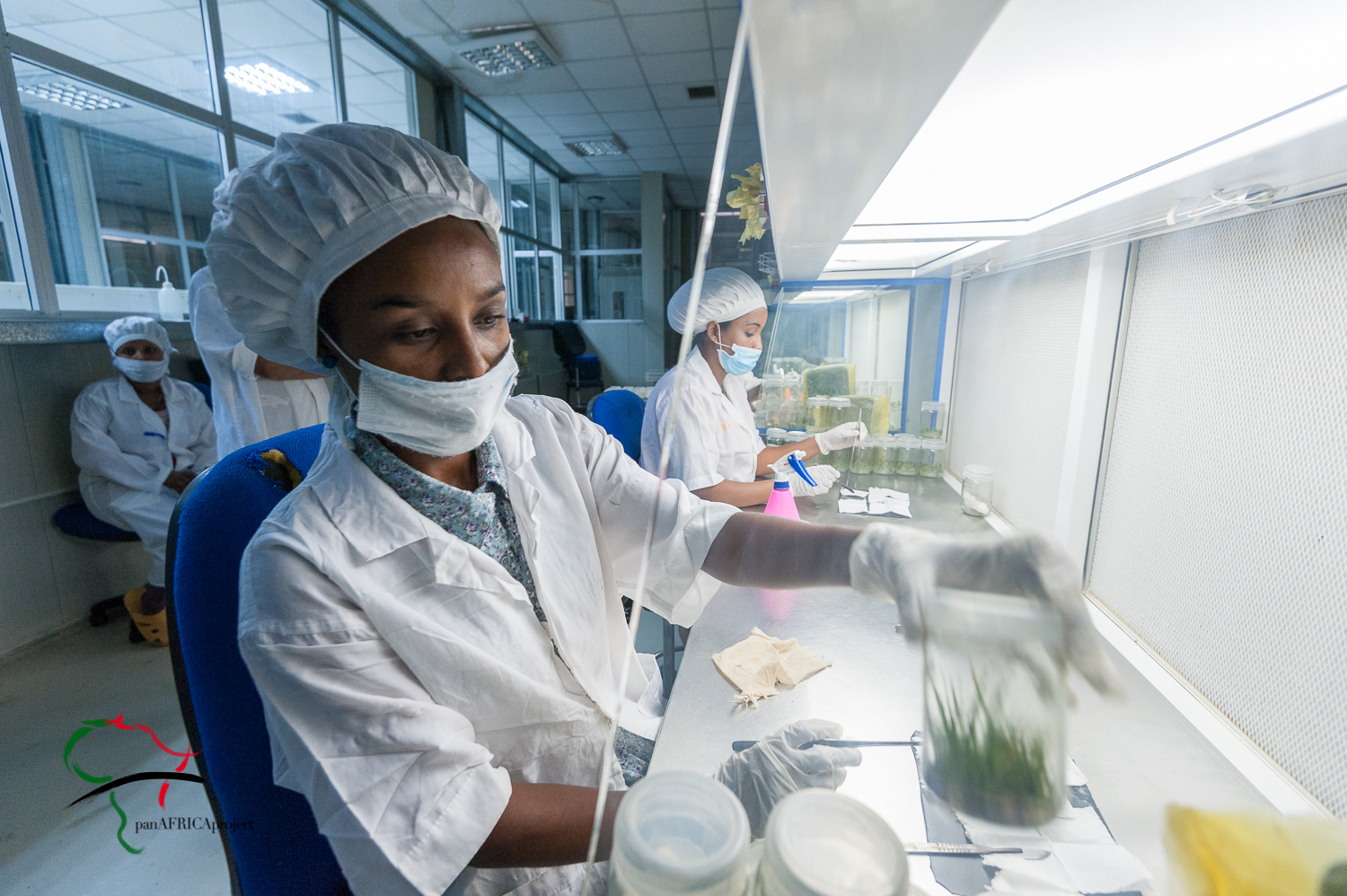 Female workers in a biotechnology lab