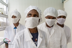 Male workers inside a plant tissue culture laboratory