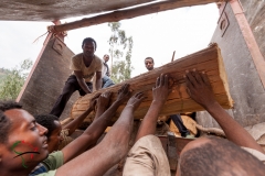 Loggers putting wood in a truck