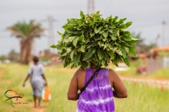 lou-jones-panafricaproject-africa-gabon-copyright-21