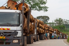 lou-jones-panafricaproject-africa-gabon-copyright-8