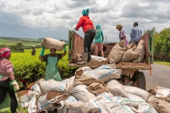 panafricaproject-kenya-lou-jones-copyright-2022-1698