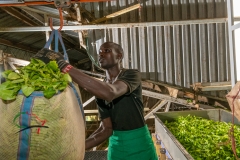 panafricaproject-kenya-lou-jones-copyright-2022-1813