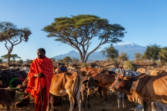 panafricaproject-kenya-lou-jones-copyright-2022-6133