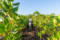 panafricaproject-kenya-lou-jones-copyright-2022-8148