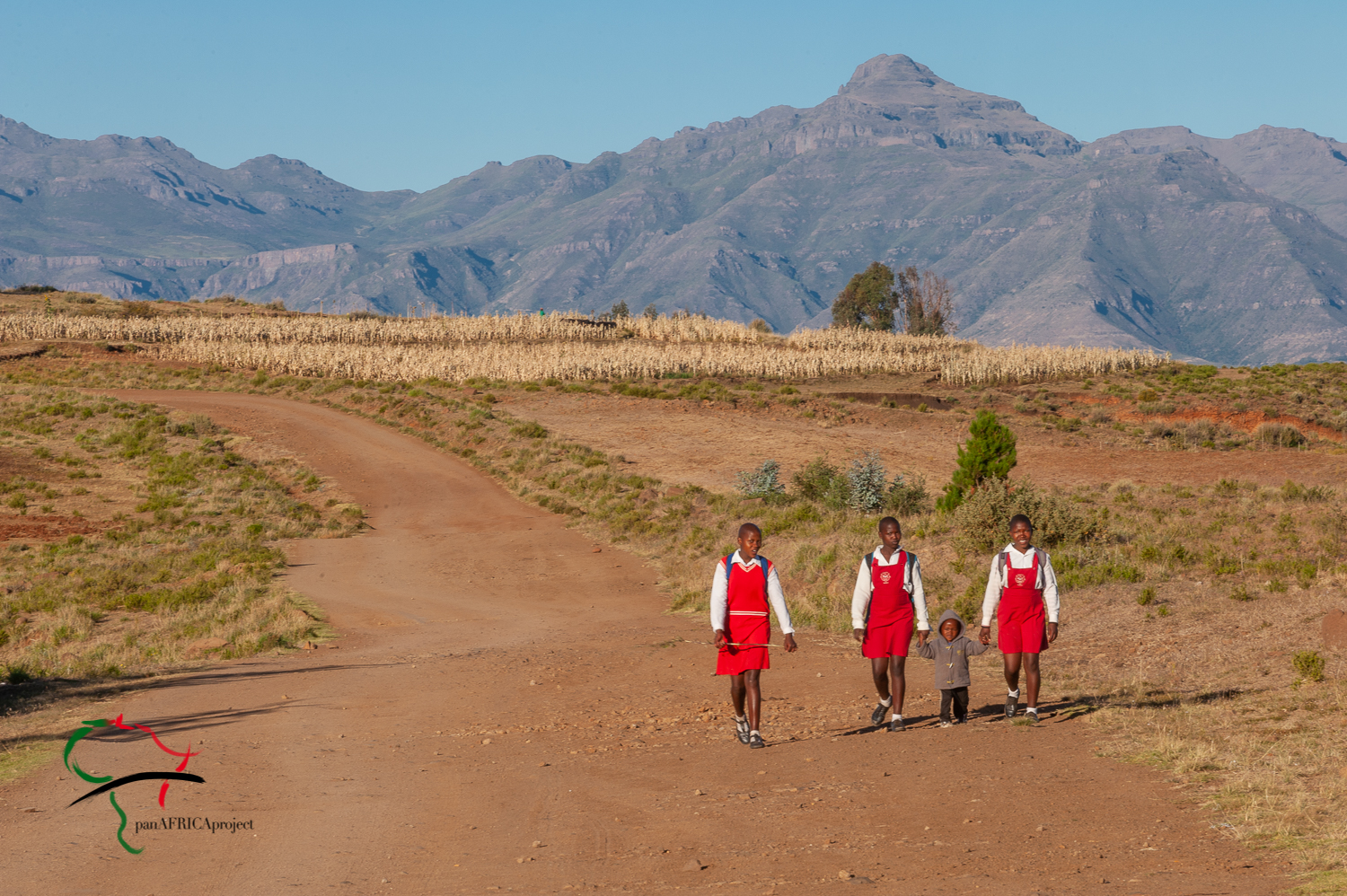 Children in school uniforms walking on the road