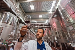 Man inspecting a glass of wine