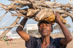 Man carrying firewood on his head