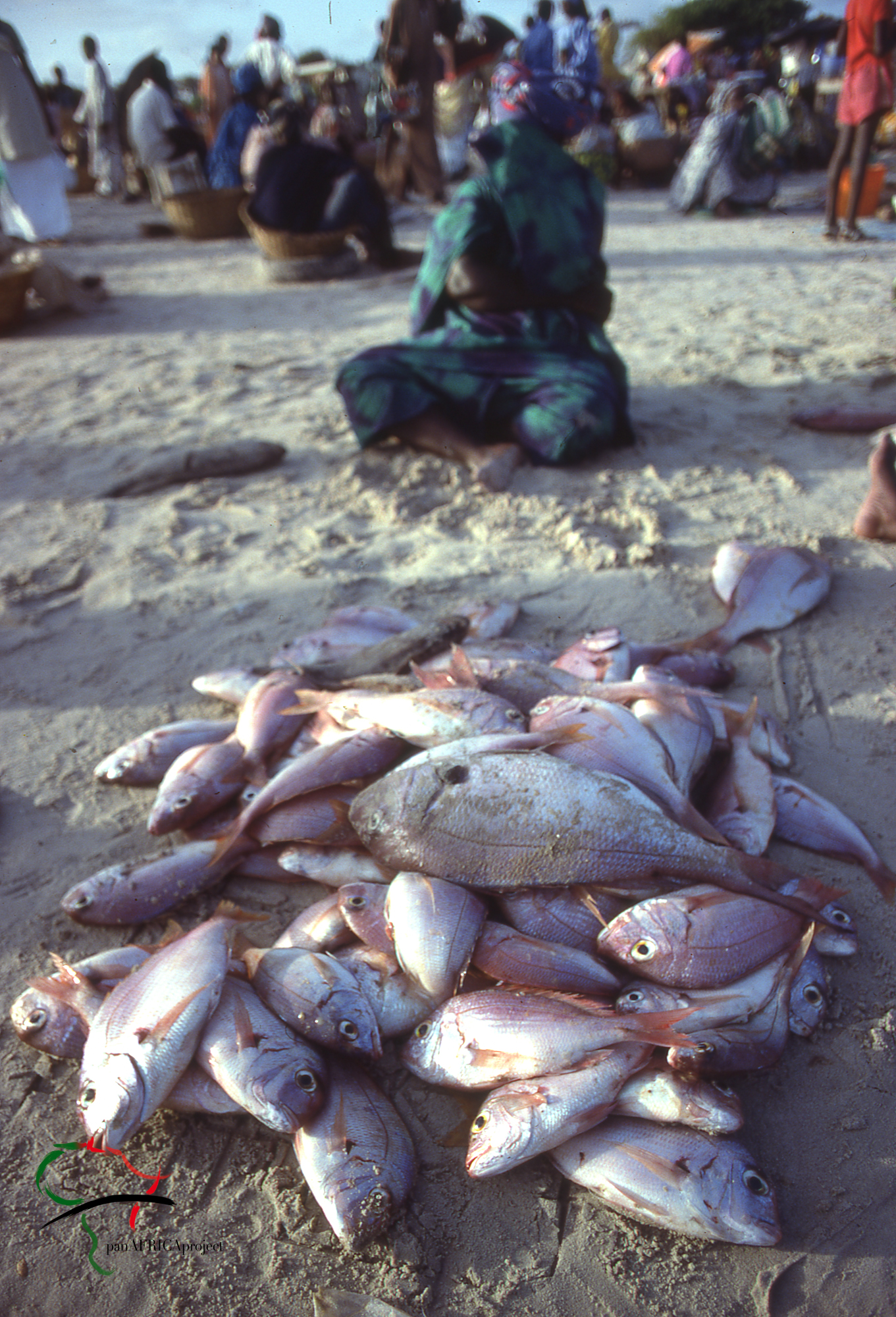 A pile of Red Snappers in front of a vendor in Dakar, Senegal