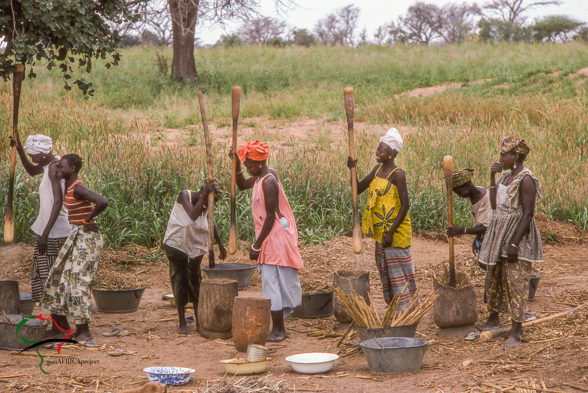 Women pounding millet in Touba, Senegal
