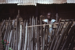 A woman standing outside of president Senghor's house, Senegal