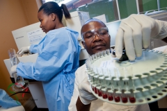 Doctor examines blood samples