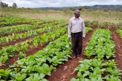 A man stanind in the middle of a garden