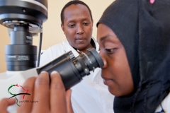 A nurse using a mircoscope