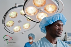 A portrait of doctors
