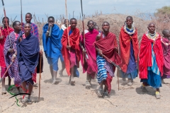 A group of Maasai warriors