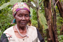 A portrait of a elderly woman