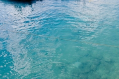 A man in the Zanzibar channel