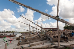 Boats parked on a beach