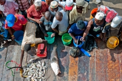 People purchasing fish at the Kivukoni fish market