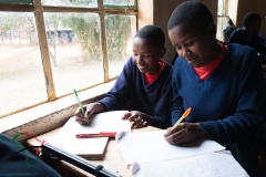 Students in a classroom