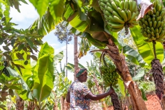 22-03-25_kenya-5033
