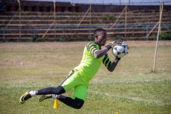 A soccer goalie making a save