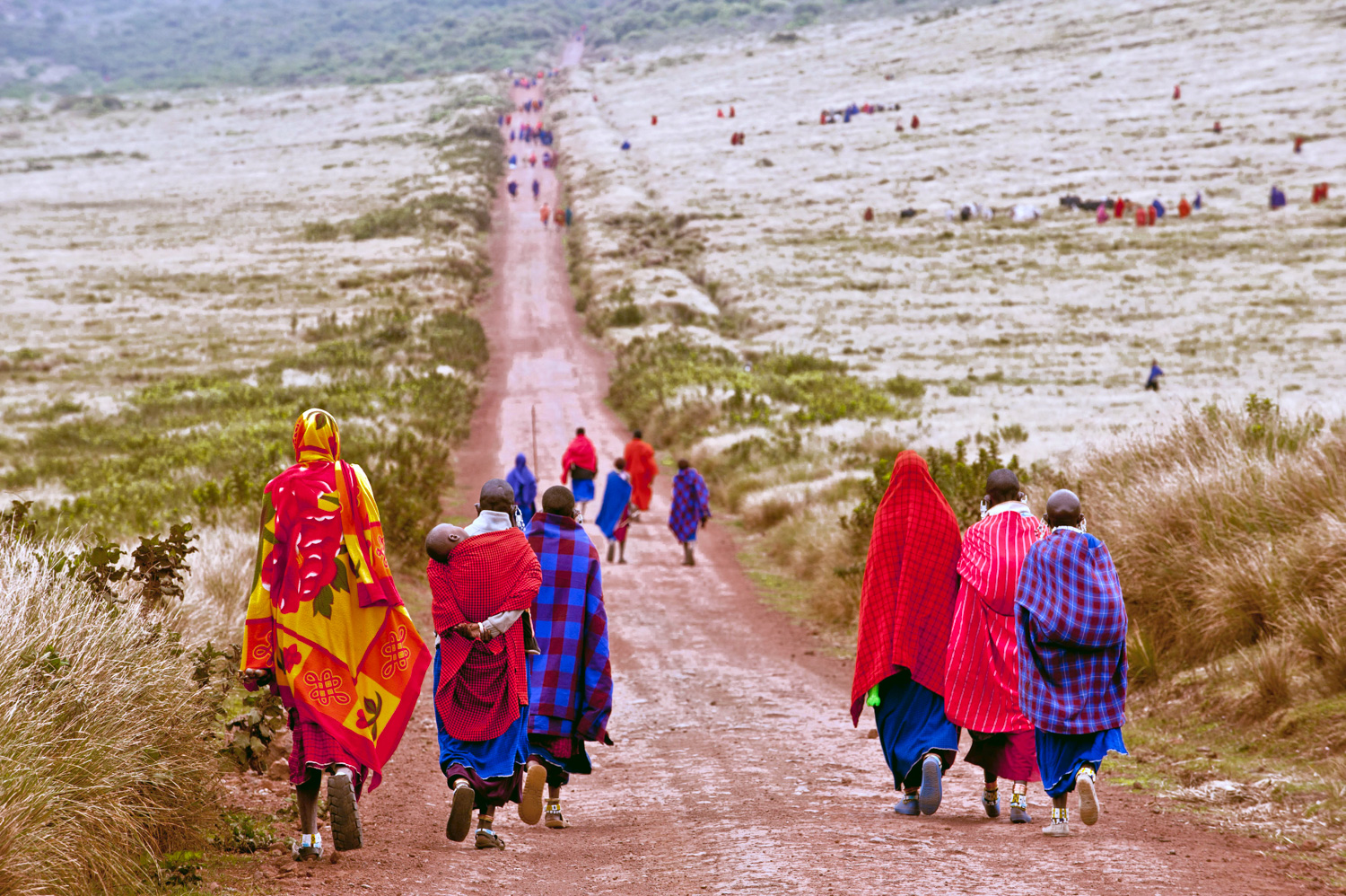 Maasai walking to monthly market - Nainokanoka, Tanzania 