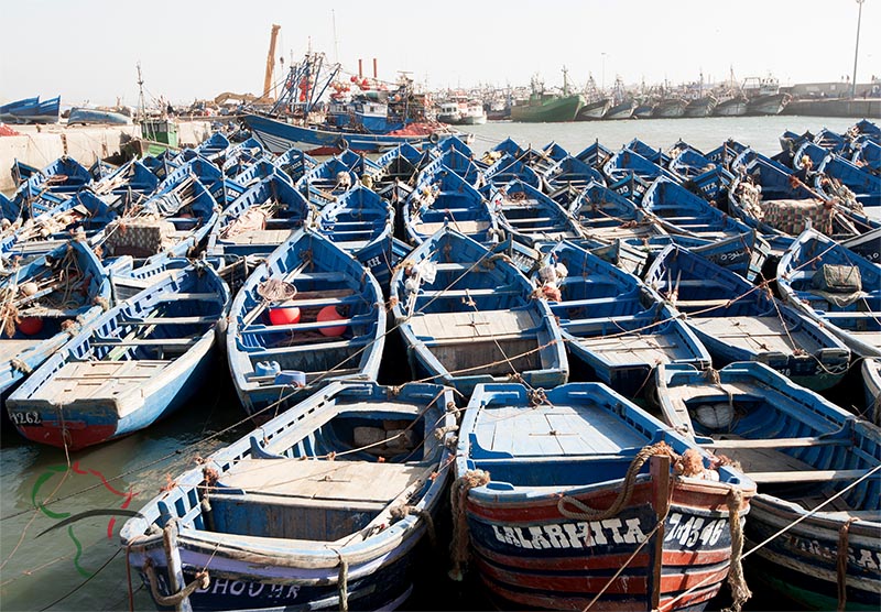 Boats docked in an Essaouira harbor