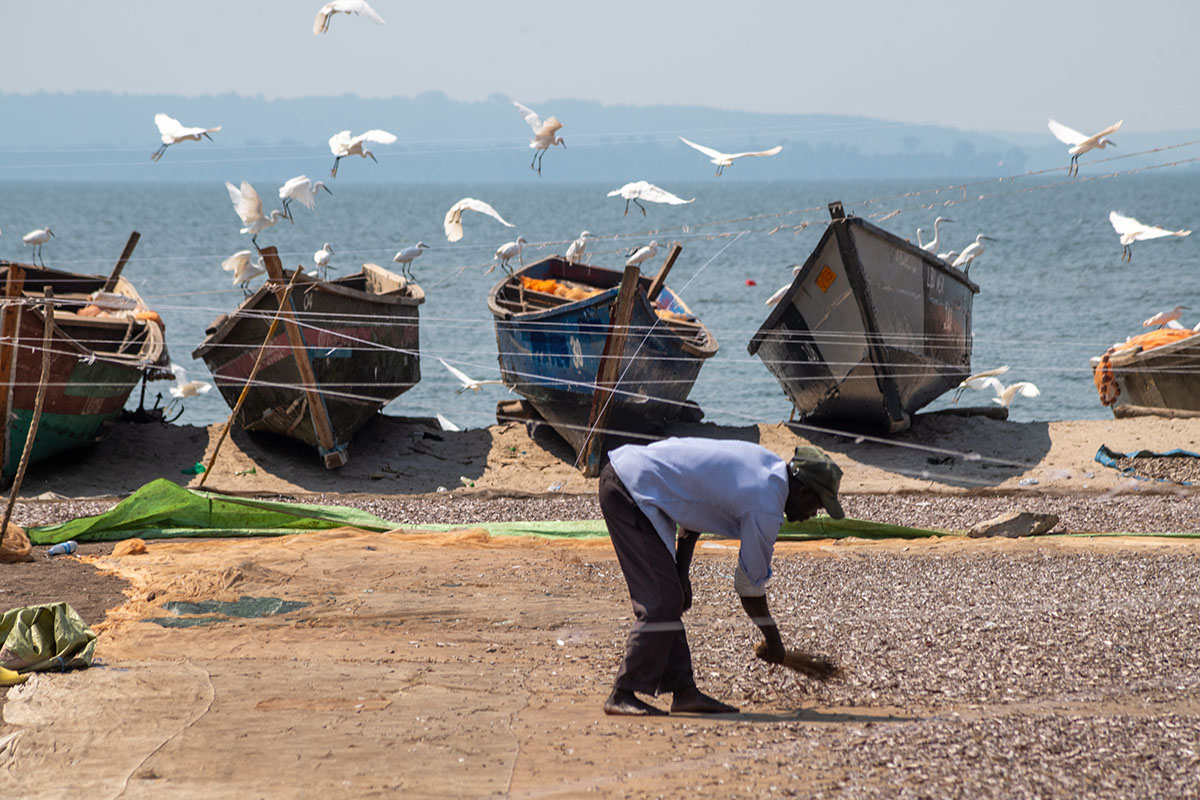 Uganda beach scene